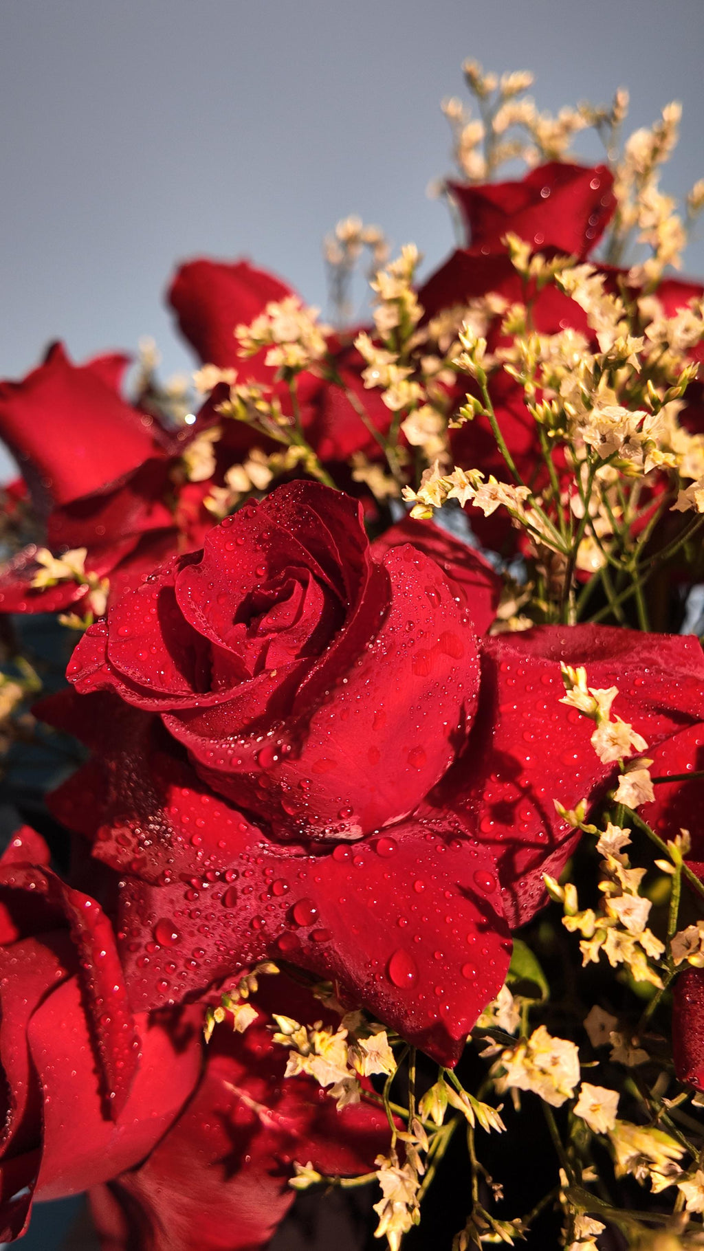 Hotline Bloom - Red Rose Bouquet